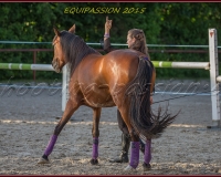2-13JUIN 0705